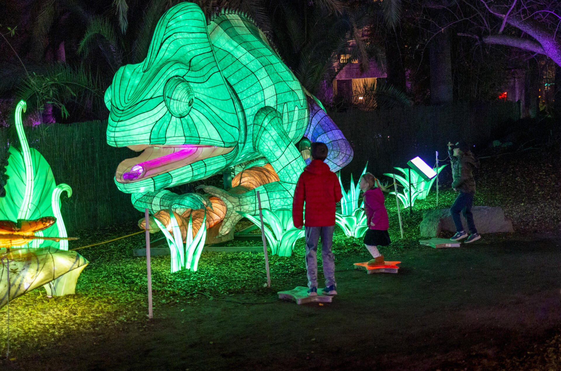 IllumiNature - Fresno Chaffee Zoo