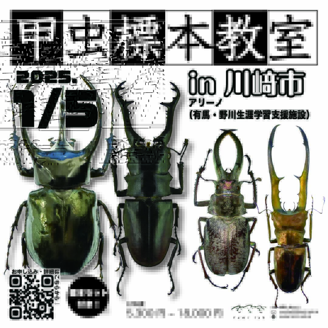終了】 昆虫教室・化石教室 in 川崎市（ 1/5 日曜日 ) - Fami-lab