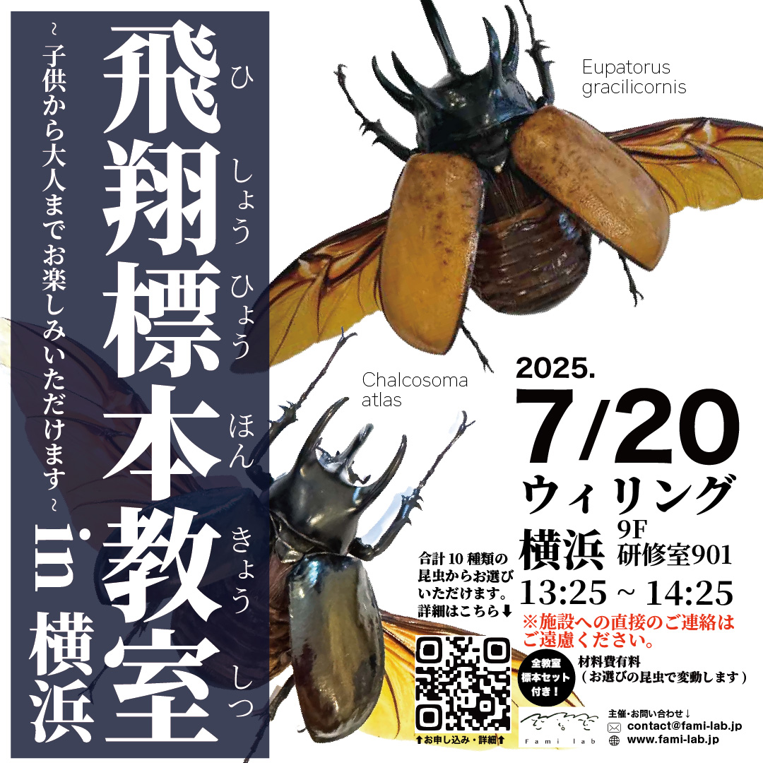 予約受付中】 昆虫教室 in 横浜（ 7/20 日曜日 ) - Fami-lab
