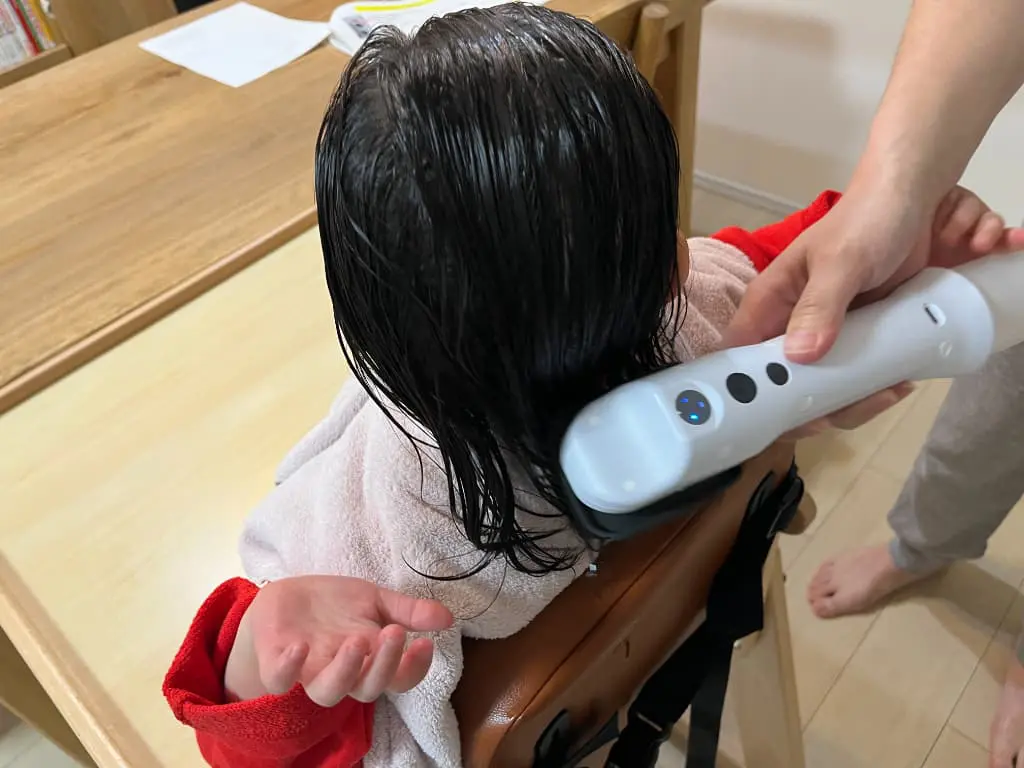 レポ】SUSUGU（ススグ）ミストブラシ・ミストシャンプーを使ってみた