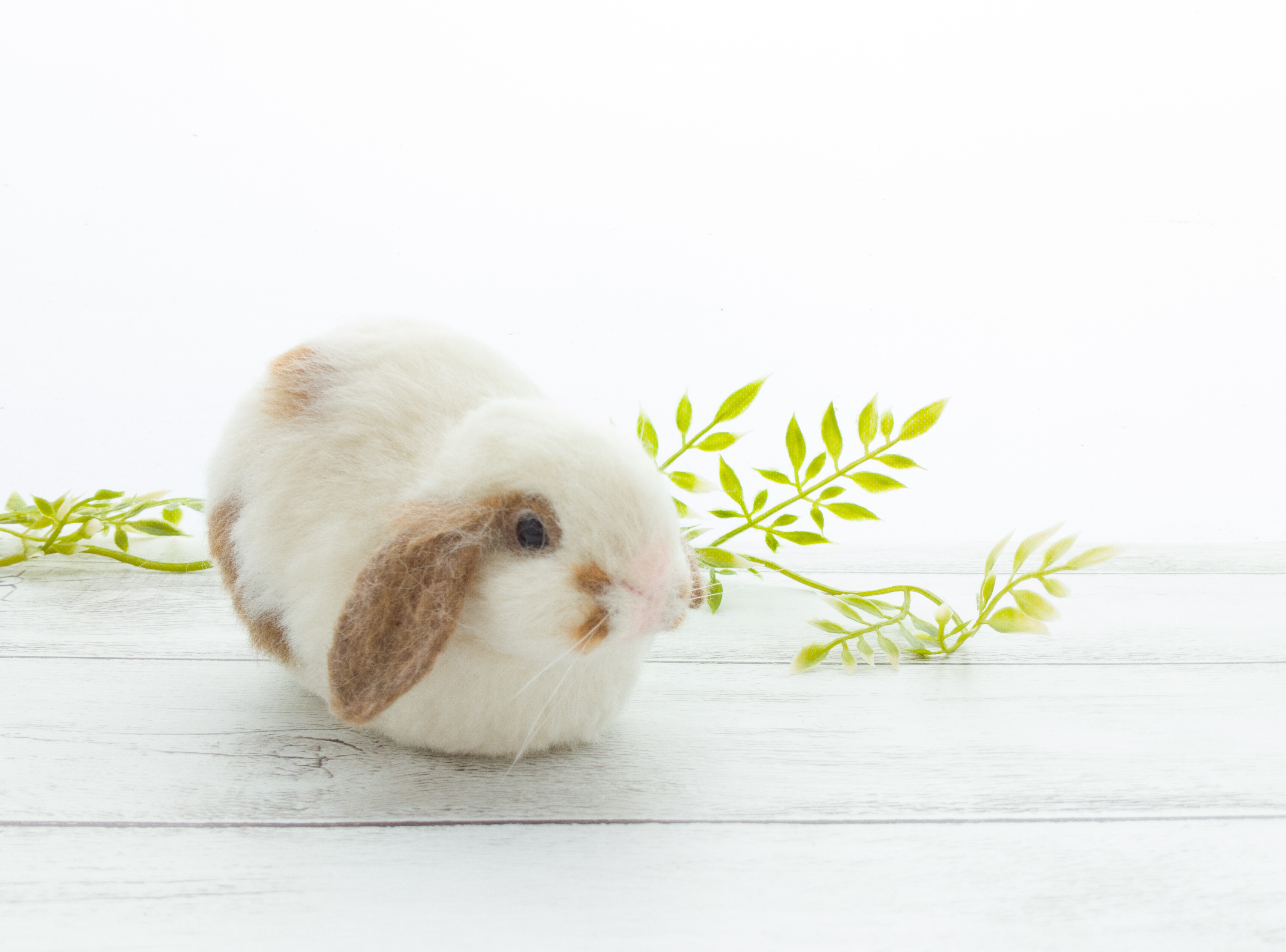 d799f77cbecebecd.jpg?ixlib=