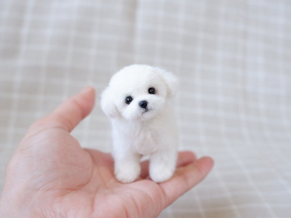 コースレッスン】羊毛フェルトで作る！かわいい子犬講座 -マルチーズ編