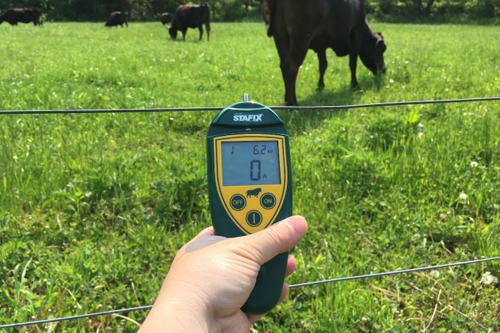 初心者向け】これで失敗しない！電気柵の基礎知識と押さえるべき