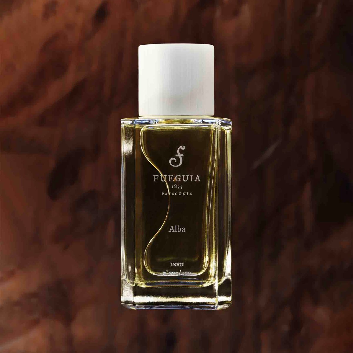 fueguia1833-lecave-vintage-