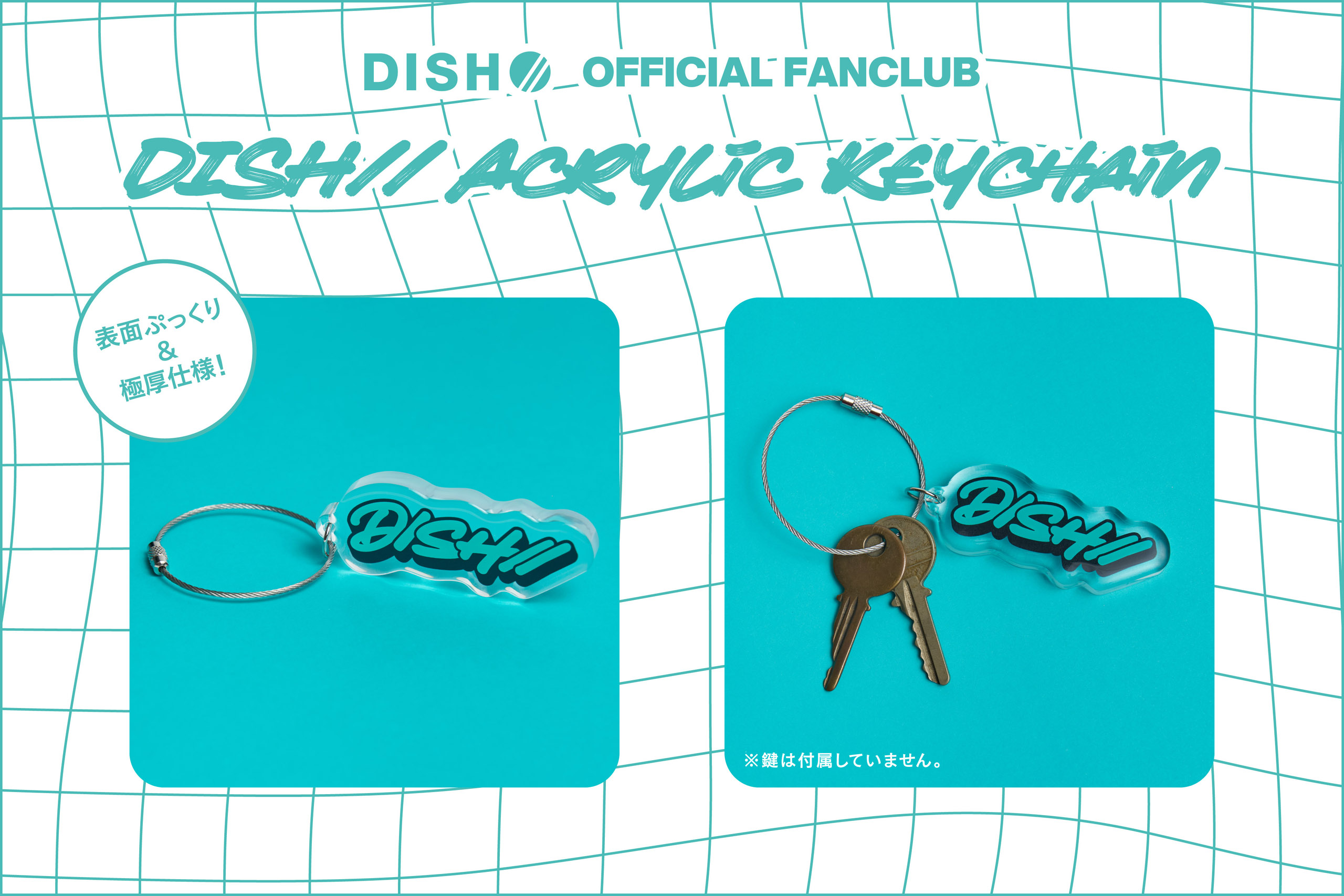 2025年の継続特典が決定！｜DISH//オフィシャルファンクラブ 皿組GOLD