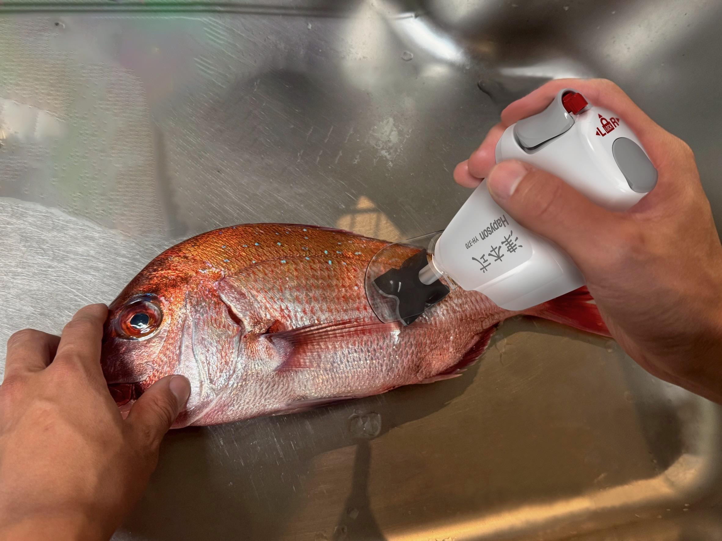 充電式ウロコ取り器｜津本式[究極の血抜き]で熟成魚を仕立てる