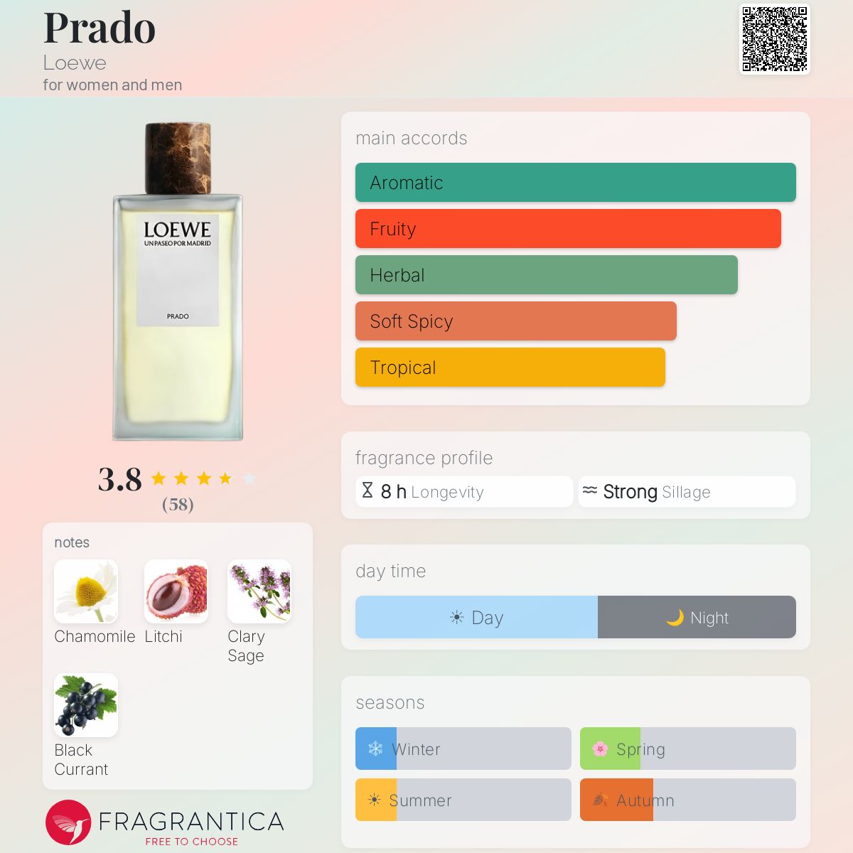 Prado Loewe perfume - a new fragrance for women and men 2024