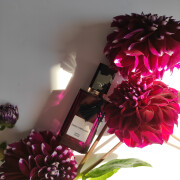 Simply Divine Diana Vreeland perfume - a fragrance for women 2014