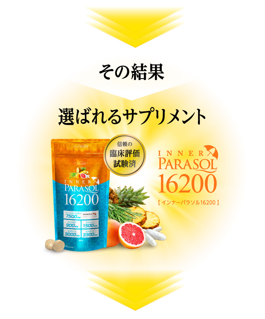 インナーパラソル16200 | ファインベース【公式】オンラインショップ