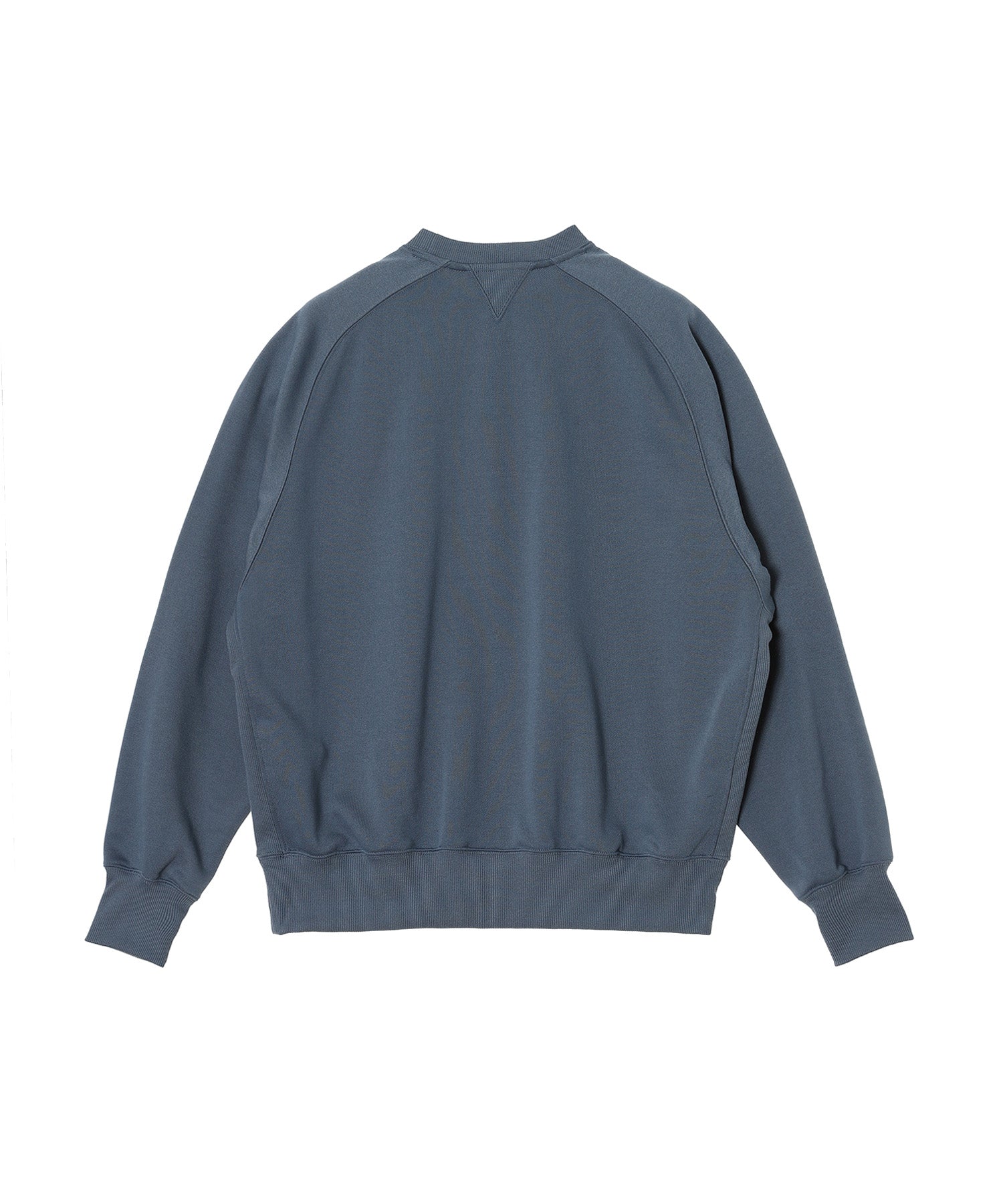 TECH SWEAT CREW FREEDOM SLEEVE - DAIWA PIER39 (ダイワピア39