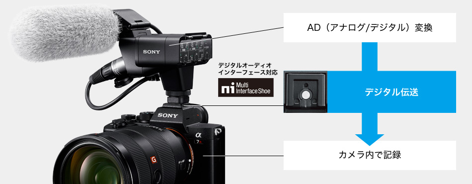 SONY XLR-K3M XLRアダプターキット - 業務用撮影・映像・音響