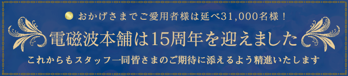 ホームスマーター2枚セット - 電磁波過敏対策｜電磁波防止対策・カット