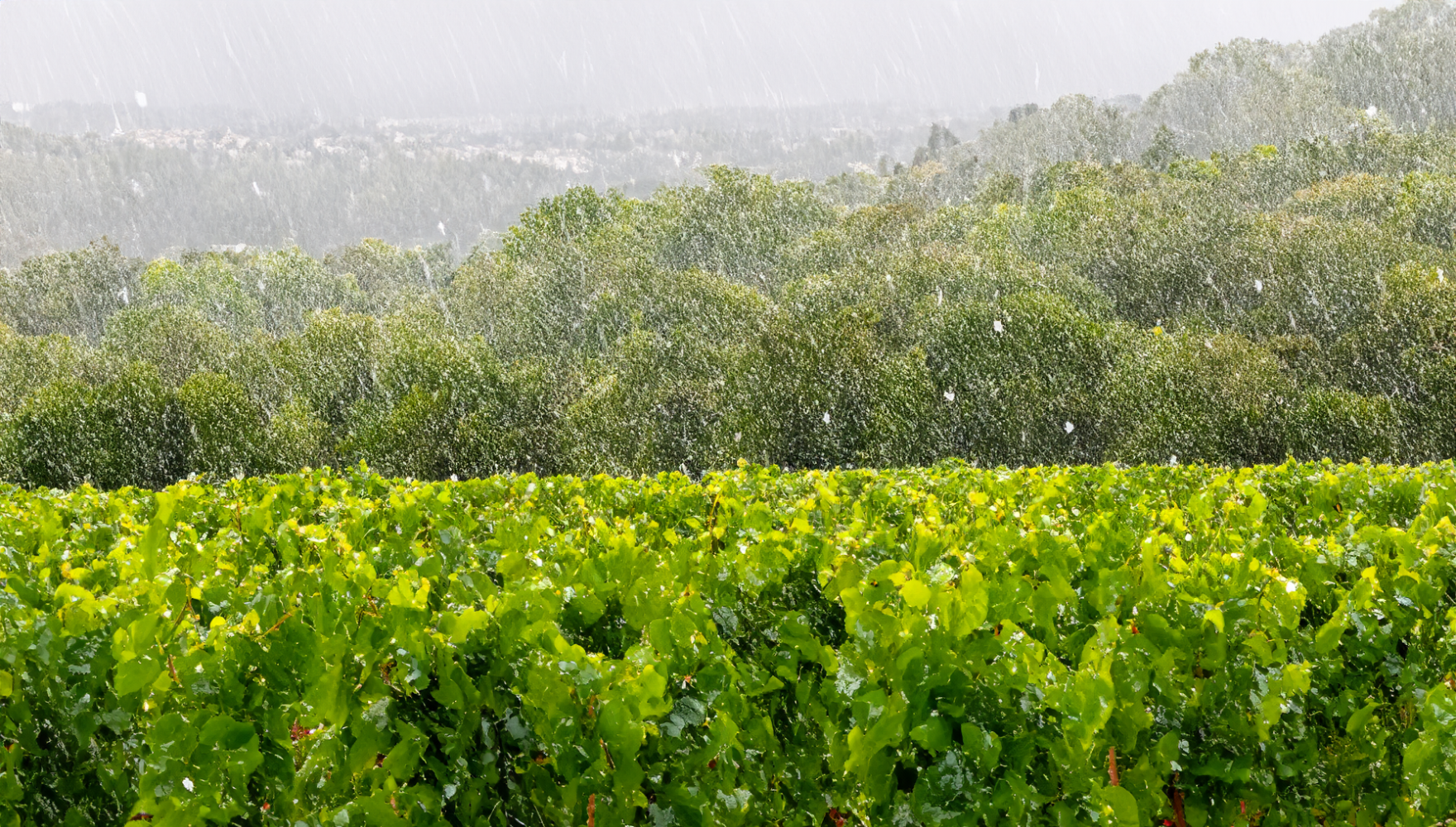 25ff1bc86870482264b4a93c12ed0a