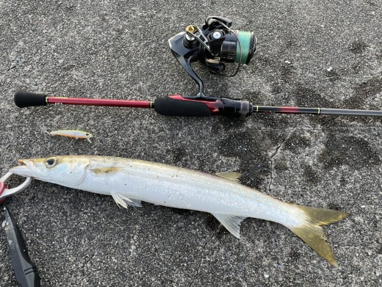 ダイワ 21月下美人MXメバルモデル68L-Sを徹底インプレ！ | まるなか