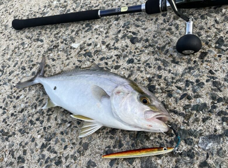 シマノ 22コルトスナイパーSS LSJを徹底インプレ！【S100ML】 | まる