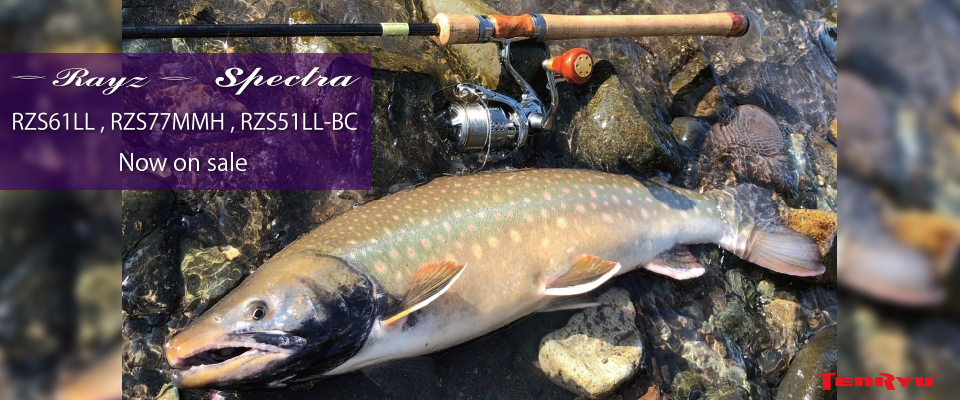 Rayz Spectra（レイズ スペクトラ）(製造終了)｜TROUT｜テンリュウ