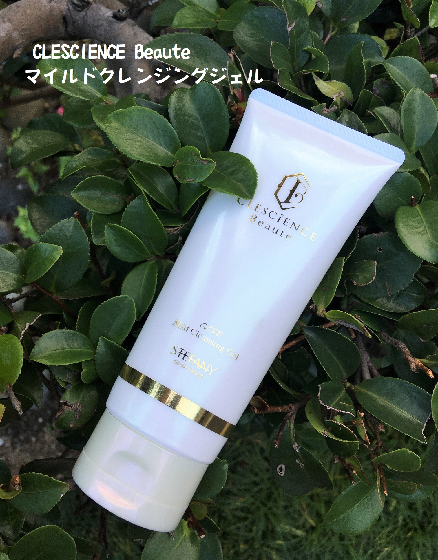 CLESCIENCE Beaute / マイルドクレンジングジェルの口コミ（by