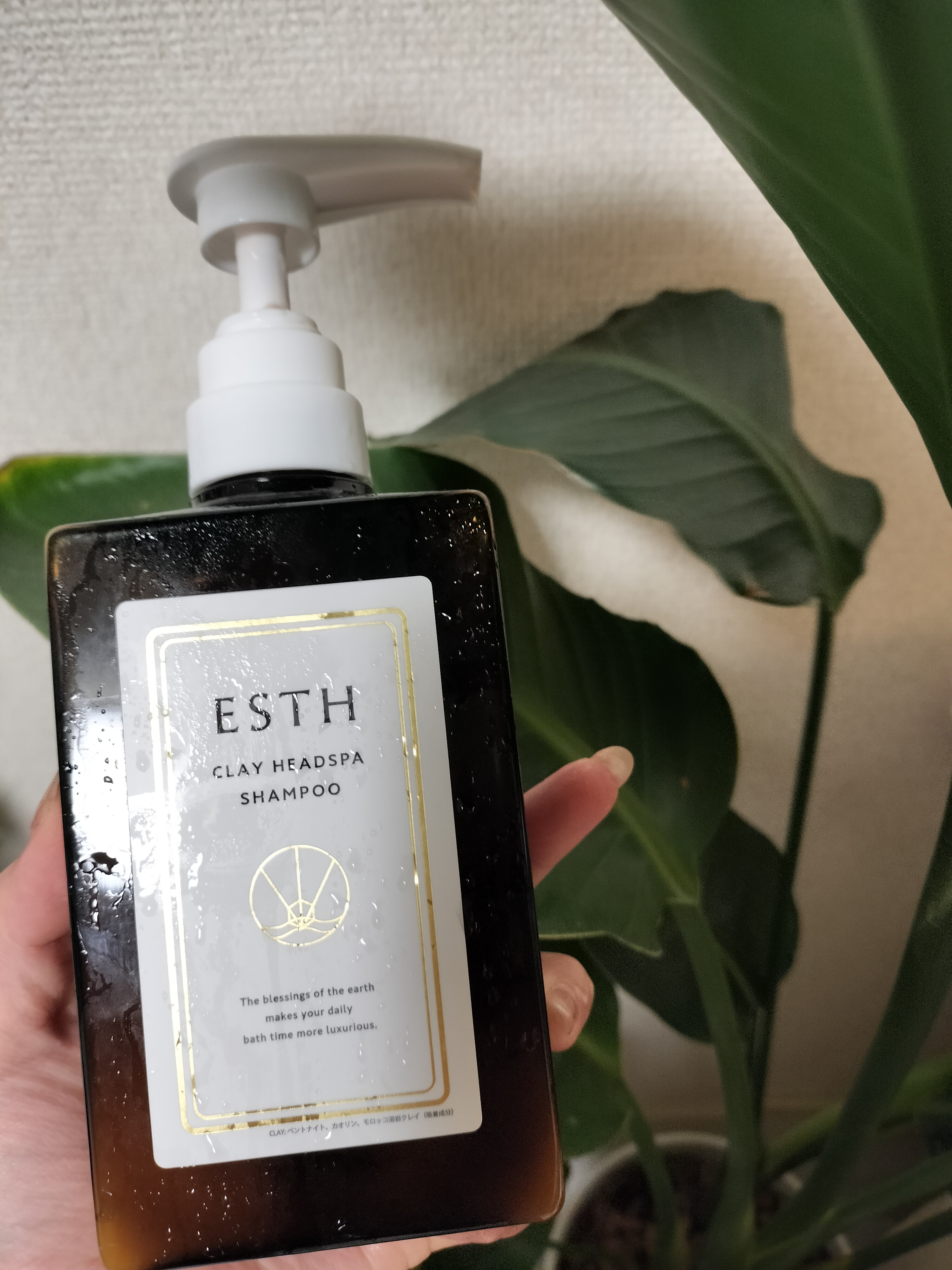 ESTH / クレイヘッドスパシャンプー 本体(380g)の公式商品情報｜美容