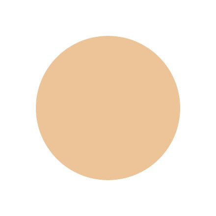 ボビイ ブラウン / スキン ファンデーション スティック 1 ウォーム