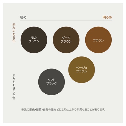 LPLP(ルプルプ) / LPLP オリジナル カラートリートメント モカブラウン