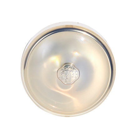 SHISEIDO / フューチャーソリューション LX トータル R クッションe