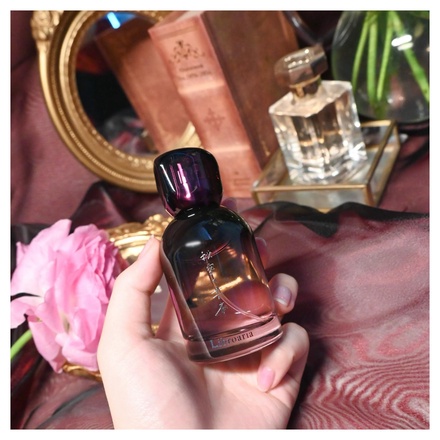 Libroaria / 秘密の書斎 Libroaria オードパルファン 50mlの公式商品