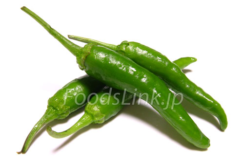 青唐辛子（あおとうがらし）：旬の野菜百科