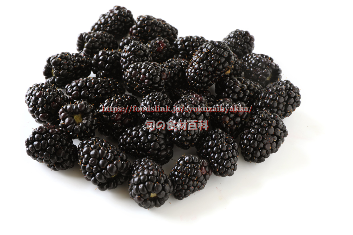 ブラックベリー：旬の果物百科