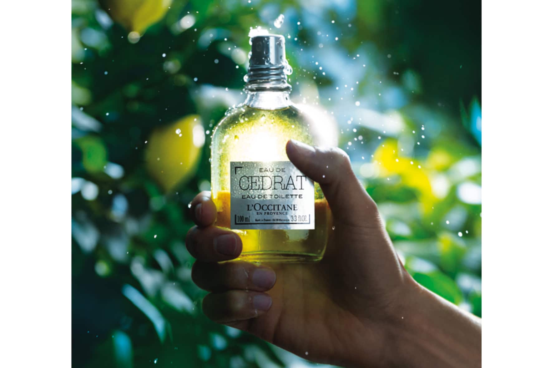 爽やかだけじゃ物足りない 意外性を引き出すロクシタンの「セドラ