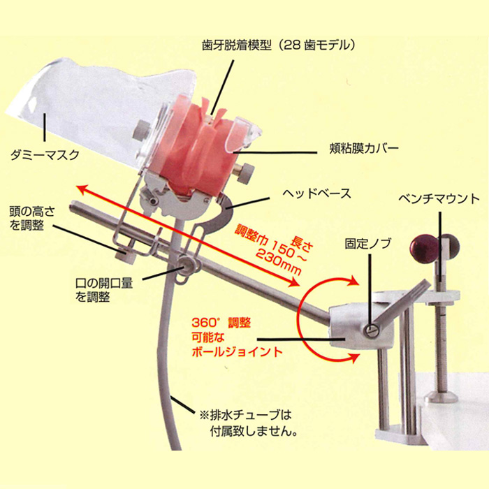 製品詳細「BSA トレーニング用 フェイスマネキン」 | フォルディネット