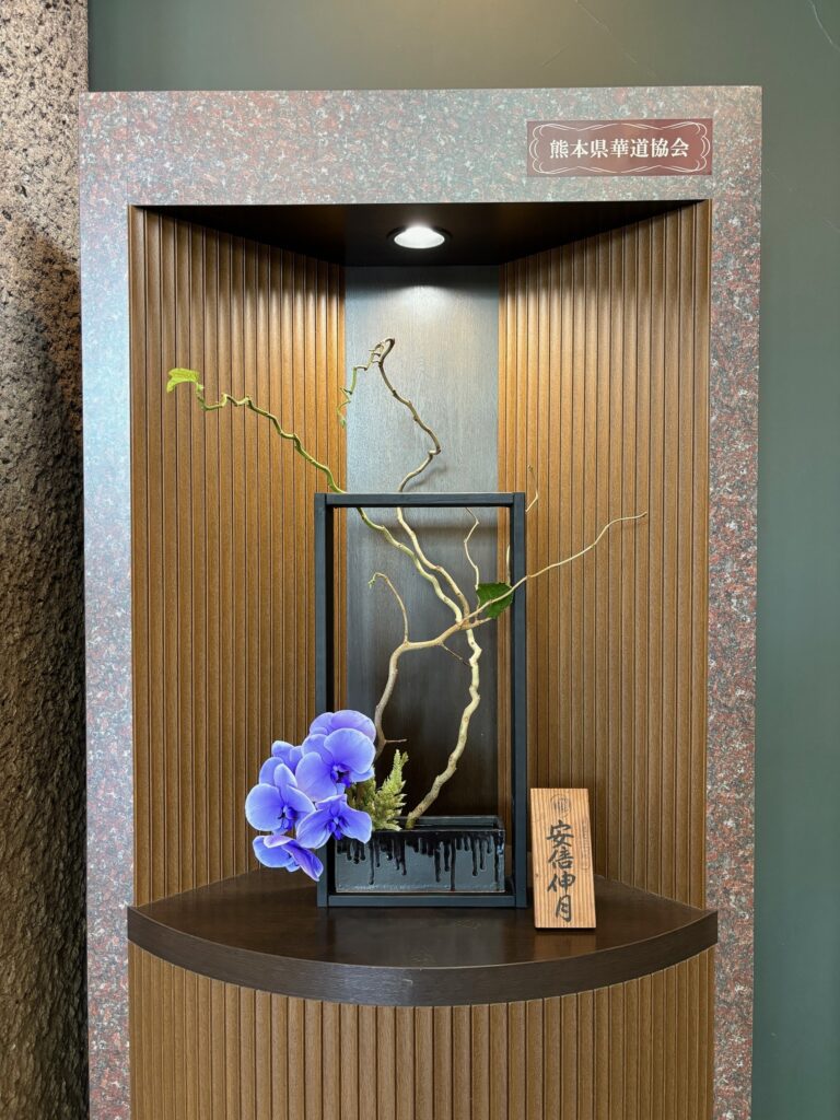 074ec53e0bebce64526fd34ccb9356