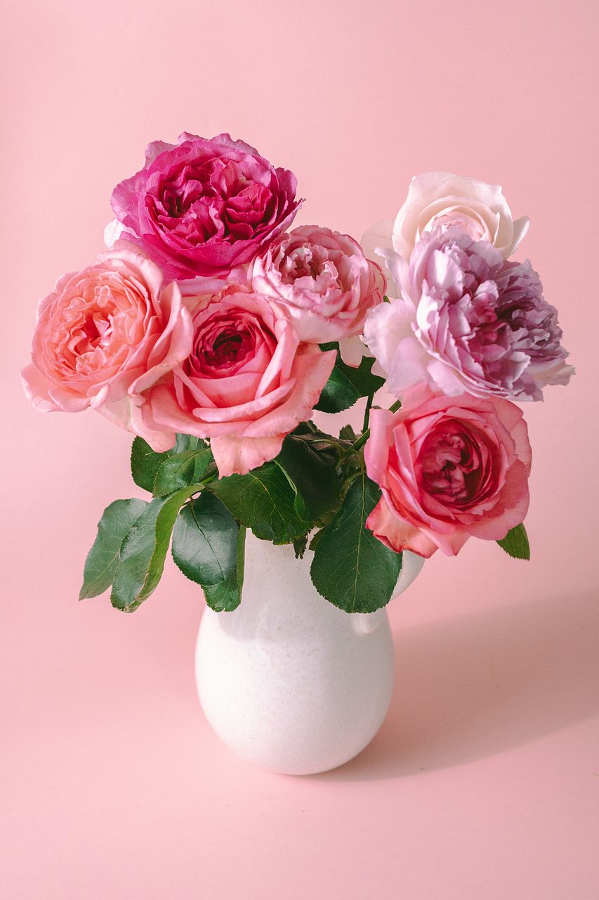 large_7c19e4ba-5cea-467d-adbd-