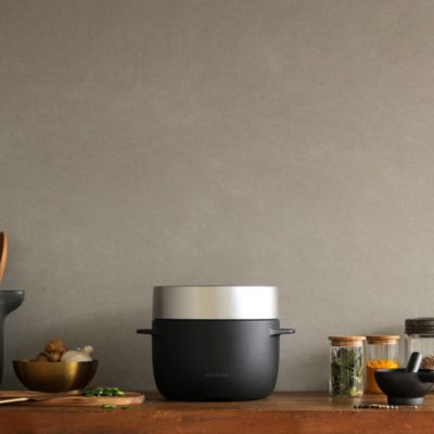 BALMUDA(バルミューダ)のBALMUDA The Gohan通販 | 集英社HAPPY PLUS STORE