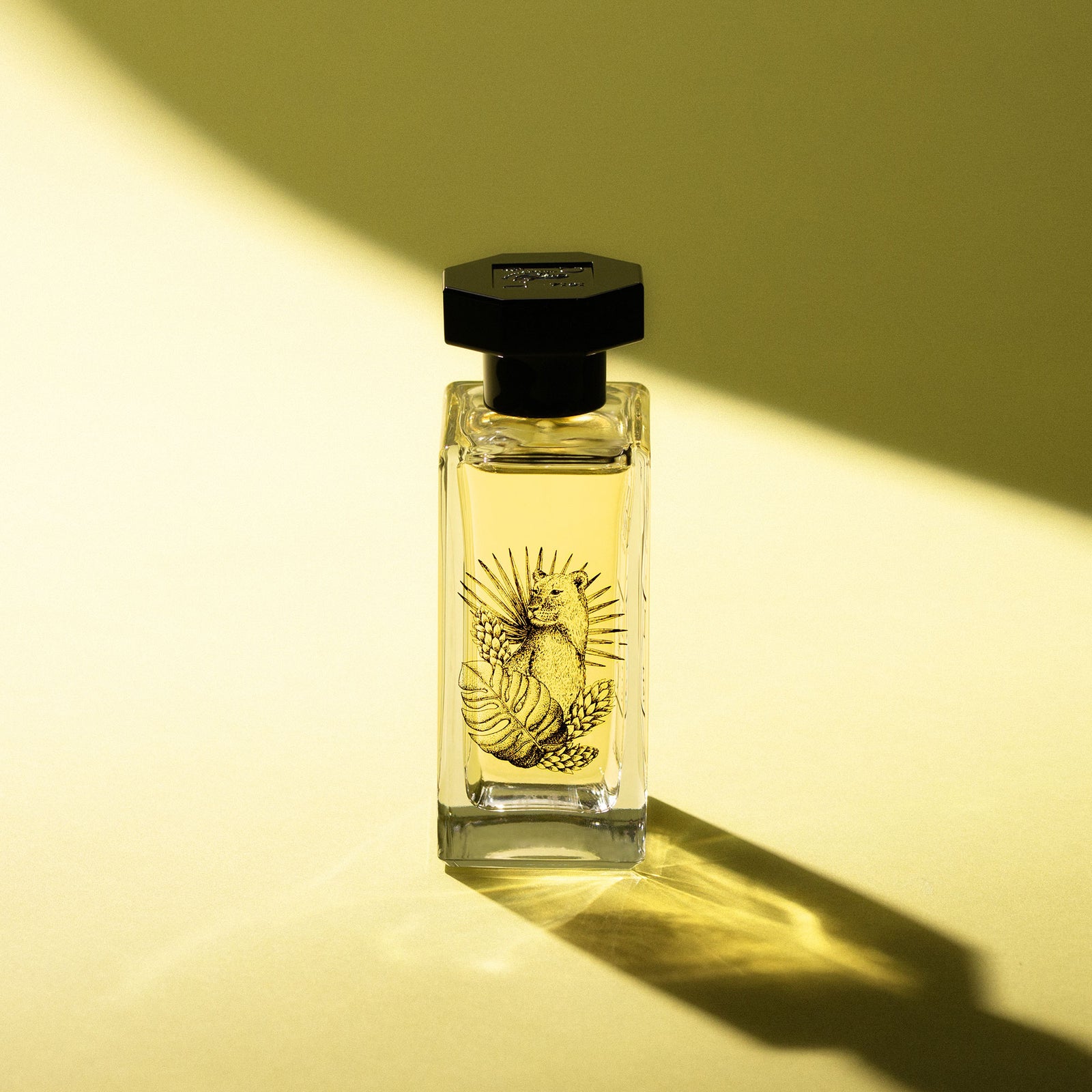 Nubica | Eaux de parfum singulières – Le Couvent Parfums