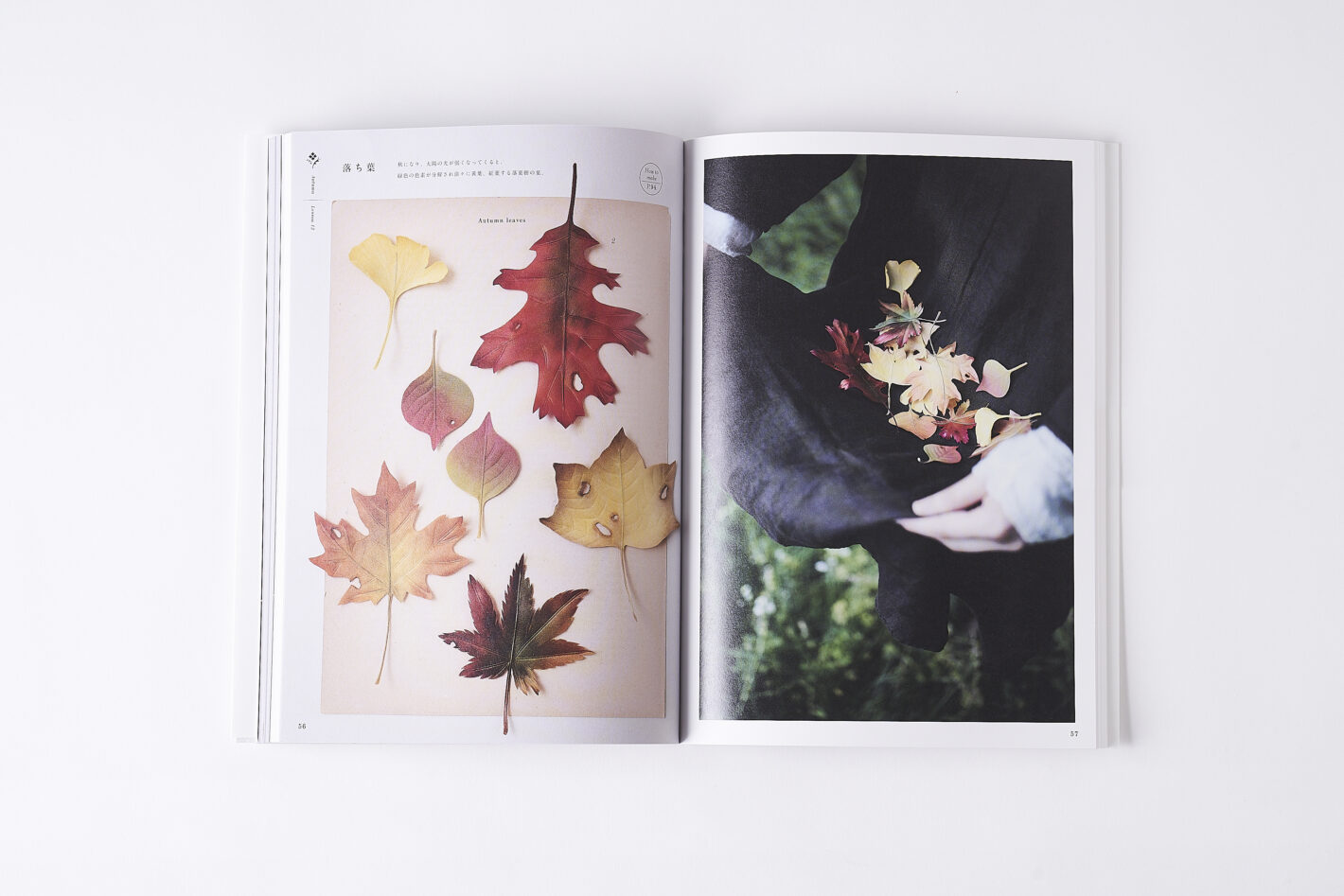 グラフィック社／書籍 utopiano「季節の布花標本」 | fridge Inc.