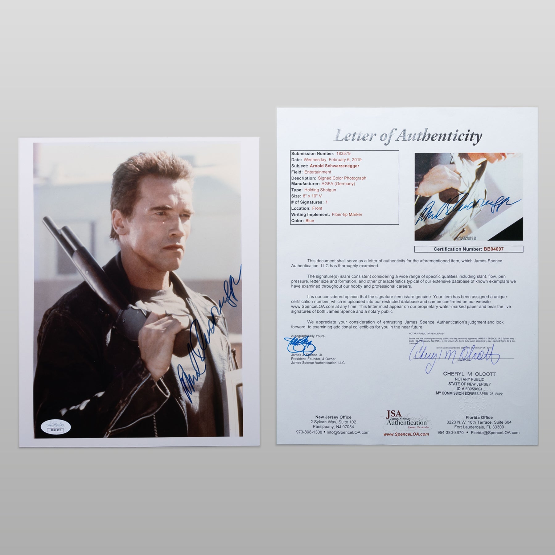 アーノルド・シュワルツェネッガー - ファンコレクションズ