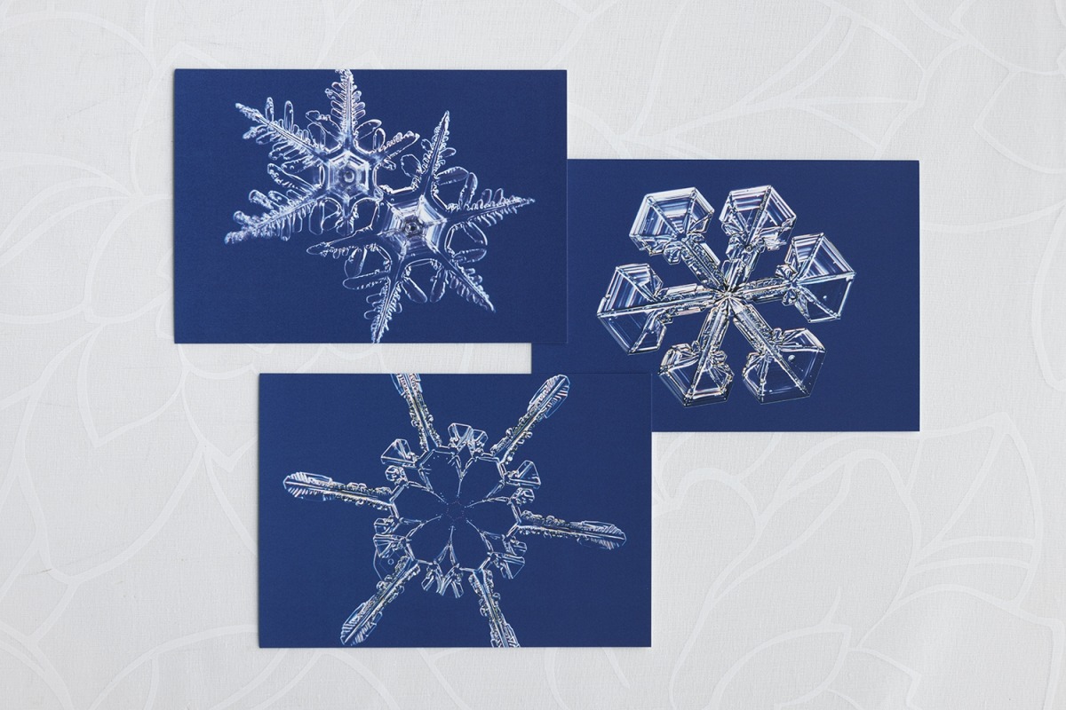 雪と氷の神秘を体験する「中谷宇吉郎 雪の科学館」 | ランドネ