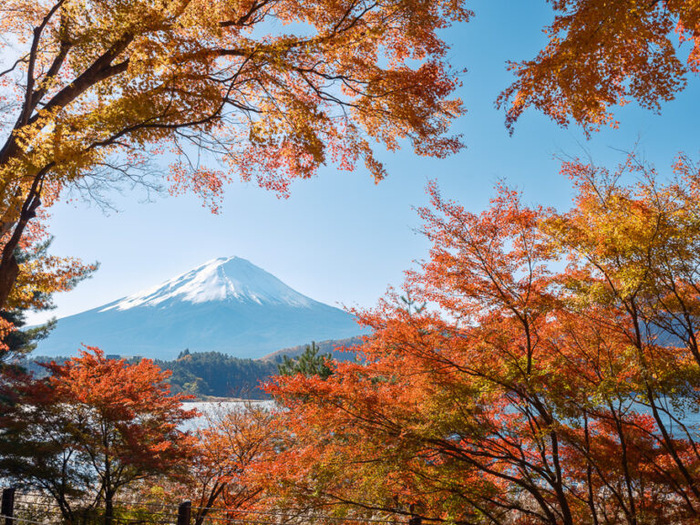 ZX-25R｜FUJI X がある生活