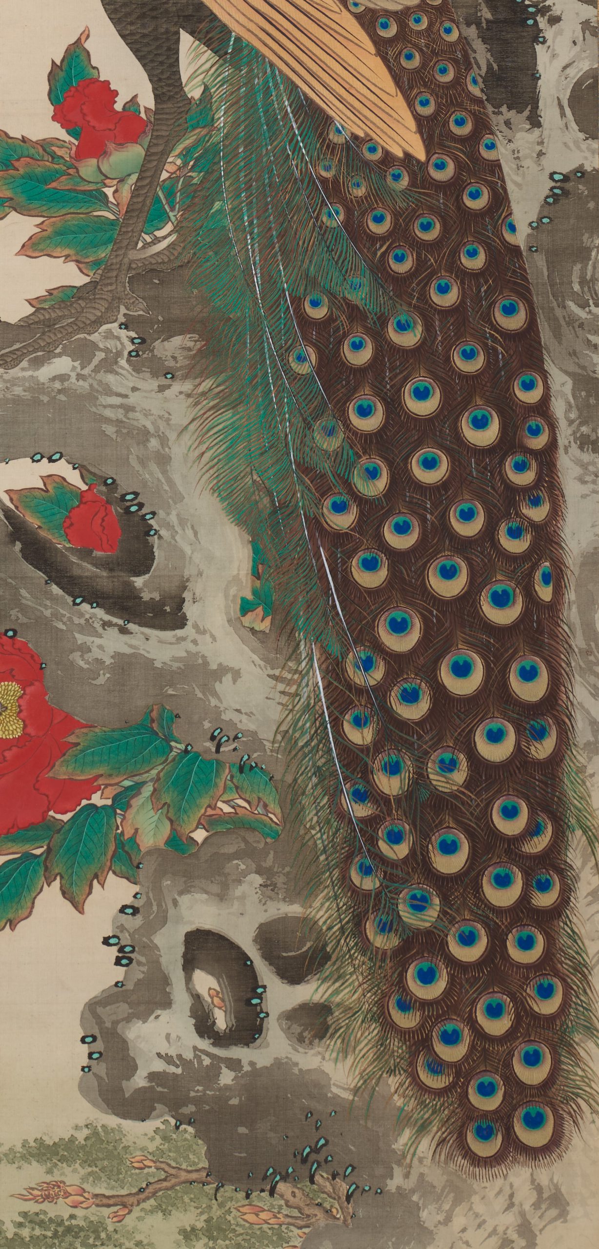 狩野永岳筆「牡丹に孔雀図」双幅 （売約済み） - 藤美術