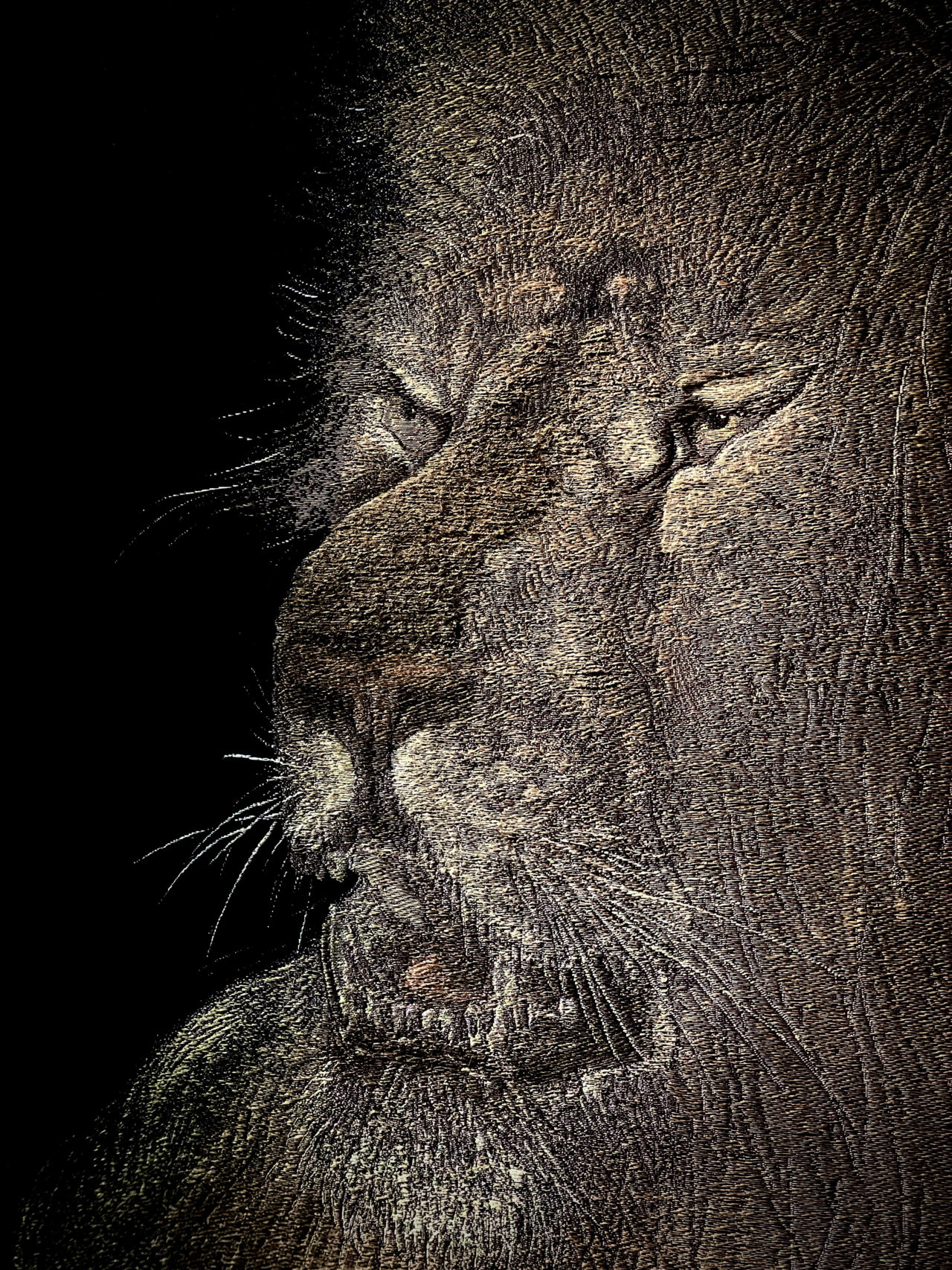 威風堂々！これぞ百獣の王！ | 藤田美術館 | FUJITA MUSEUM藤田美術館