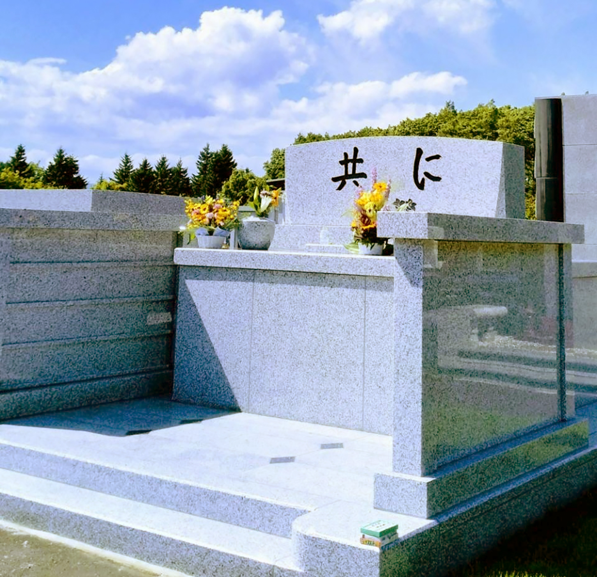 6ae15135a226c7bff12f6b908cb792