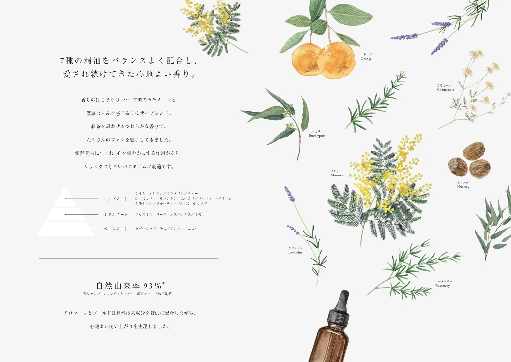 POLA アロマエッセゴールド モイスチャーローション［化粧水］1L