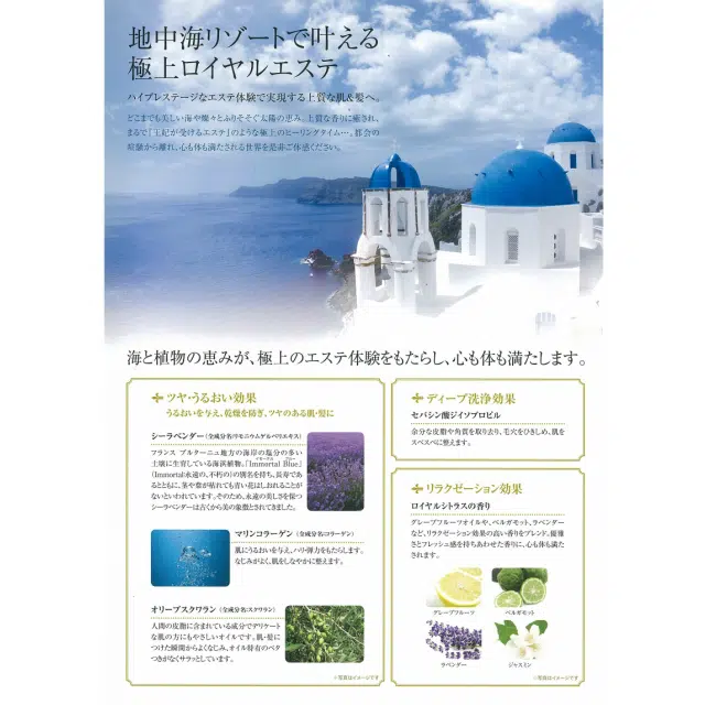 セット品］POLA エステロワイエ シャンプー10L ＆ コンディショナー10L