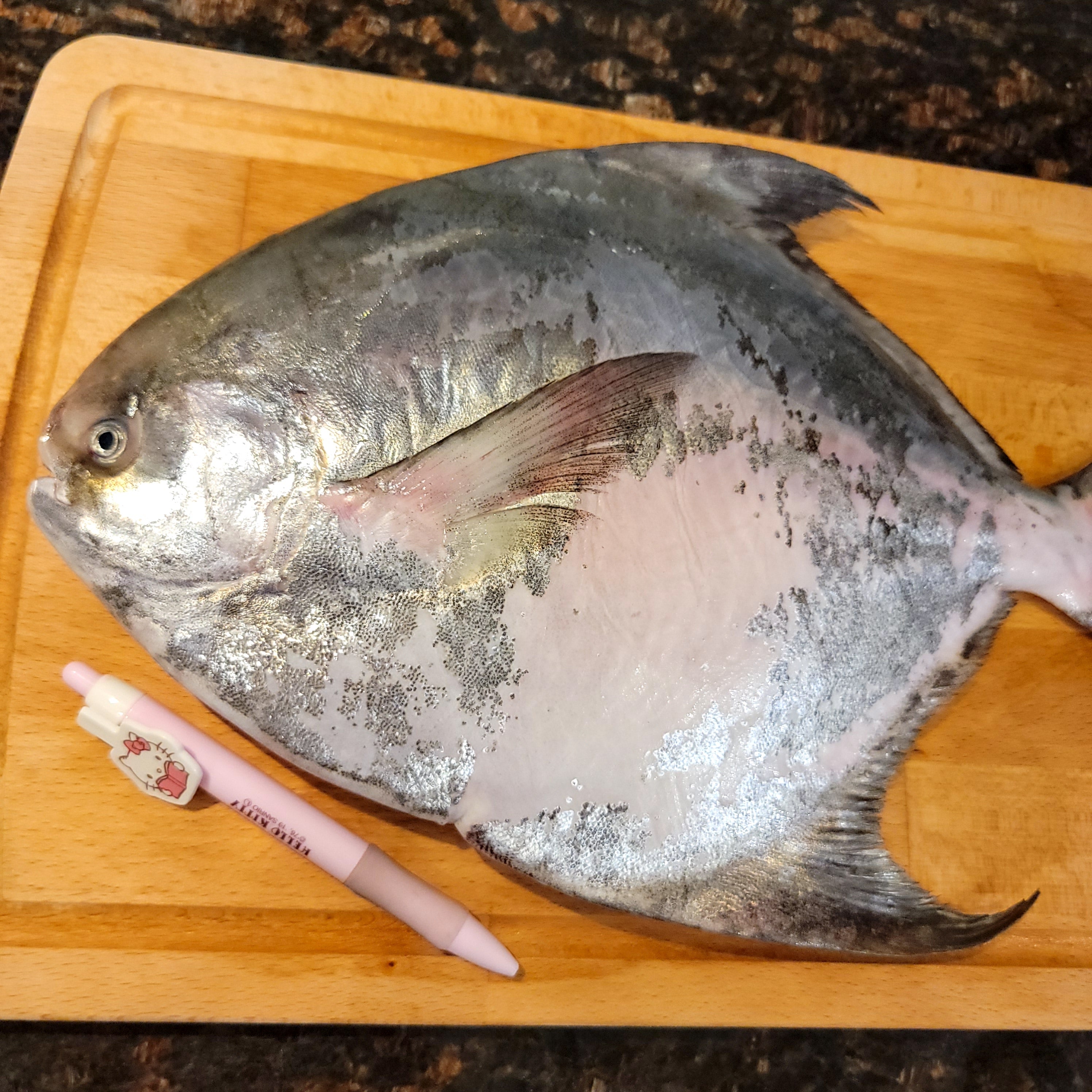 Silver Pomfret (Managatsuo) 日本䱽魚/鯧魚– Fukuya Foods