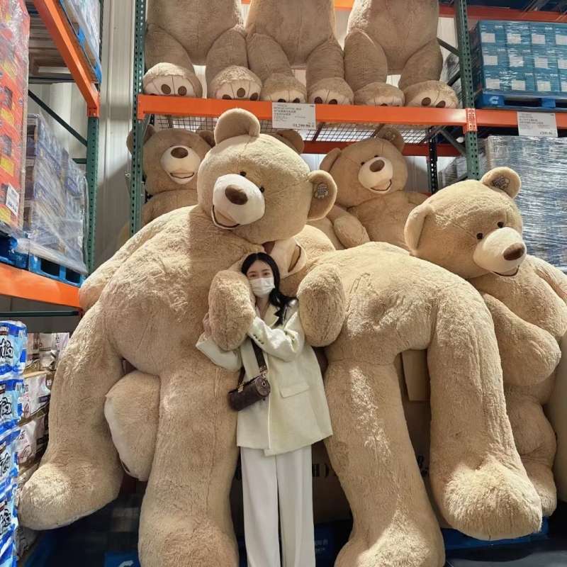 くまぬいぐるみ｜特大｜癒し｜クマさんのお友達 くま 茶色(特大)|くま