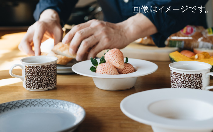 波佐見焼】リム広ハット ボウル 白マット釉 2枚セット 食器 皿