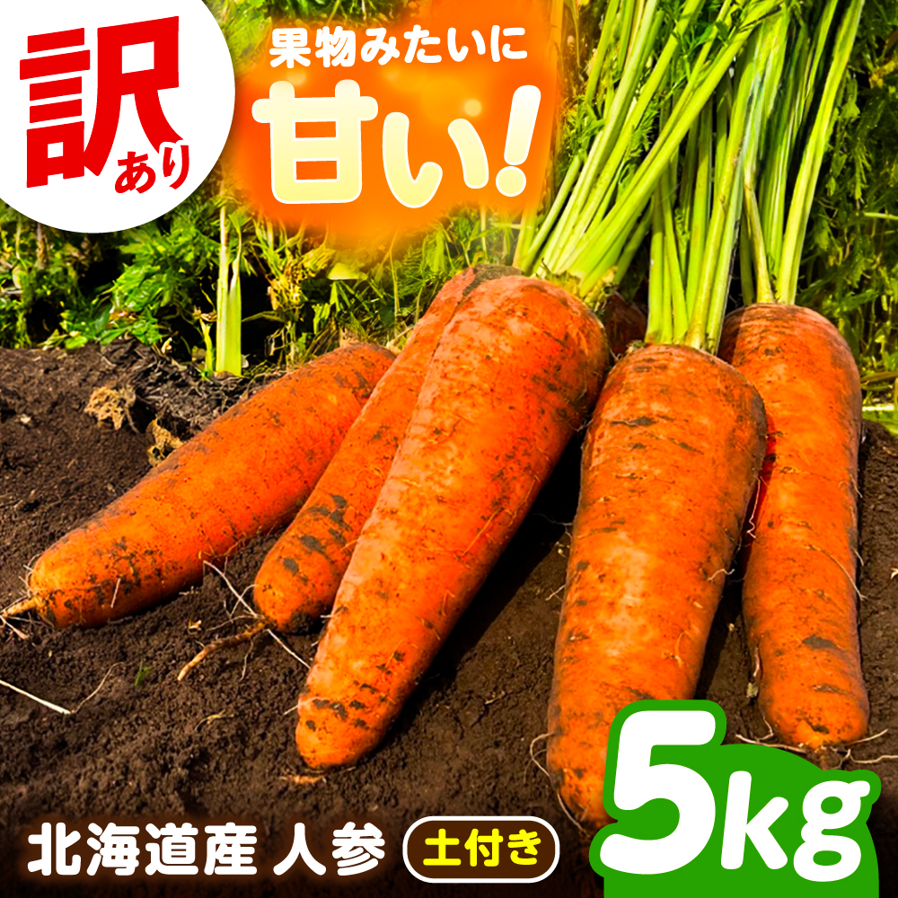 北海道 訳ありにんじん 1kg（土付き）《足寄町》【餌取農場】 北海道産