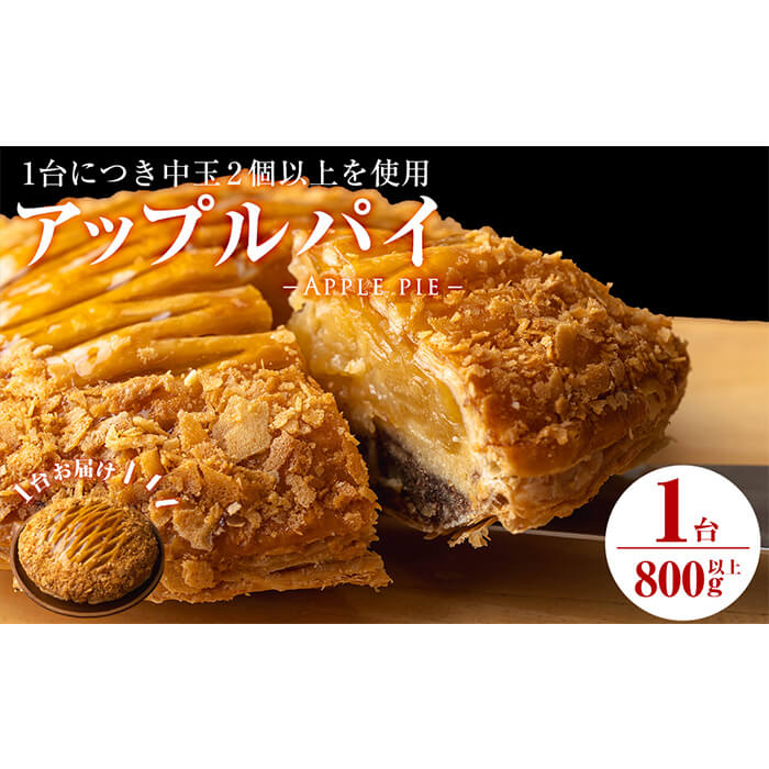 アップルパイ5号(直径17.5cm 800g以上) a4-059（鹿児島県志布志市