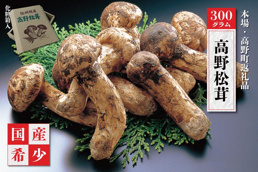 2026年発送分］香り・歯応え・味ともに最高級！希少な国産松茸「高野