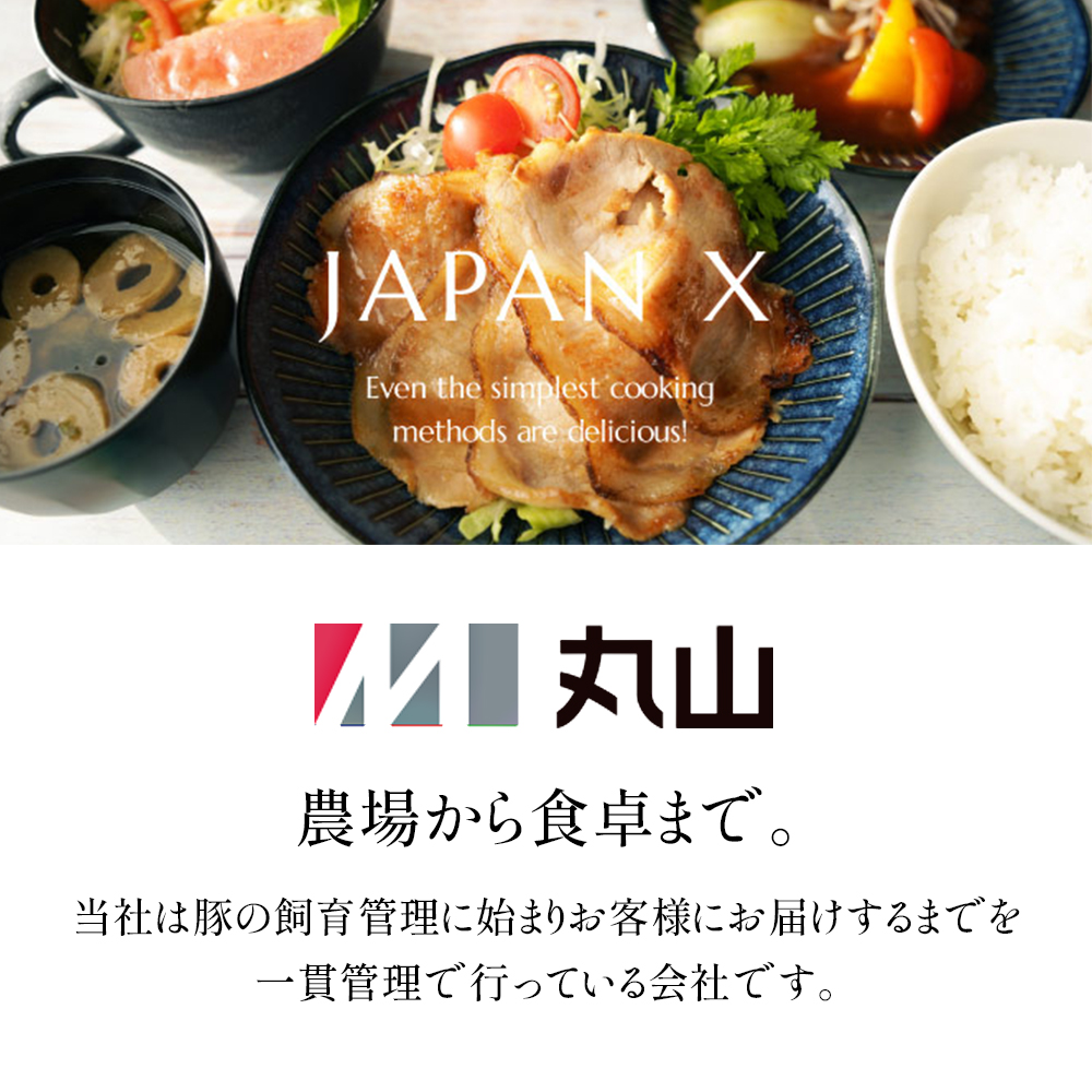 蔵王町産＞JAPAN X 豚肉バラエティセット 3.2kg 【04301-0366】 | 宮城
